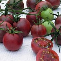 25 Seeds Black Cherry Tomato Seed Pase Seeds New - £18.97 GBP