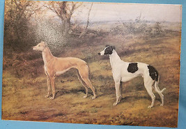 Greyhound Italian IG Dog Primitive Painting Wall Hanging  Unframed 16&quot;X11&quot; - £23.14 GBP