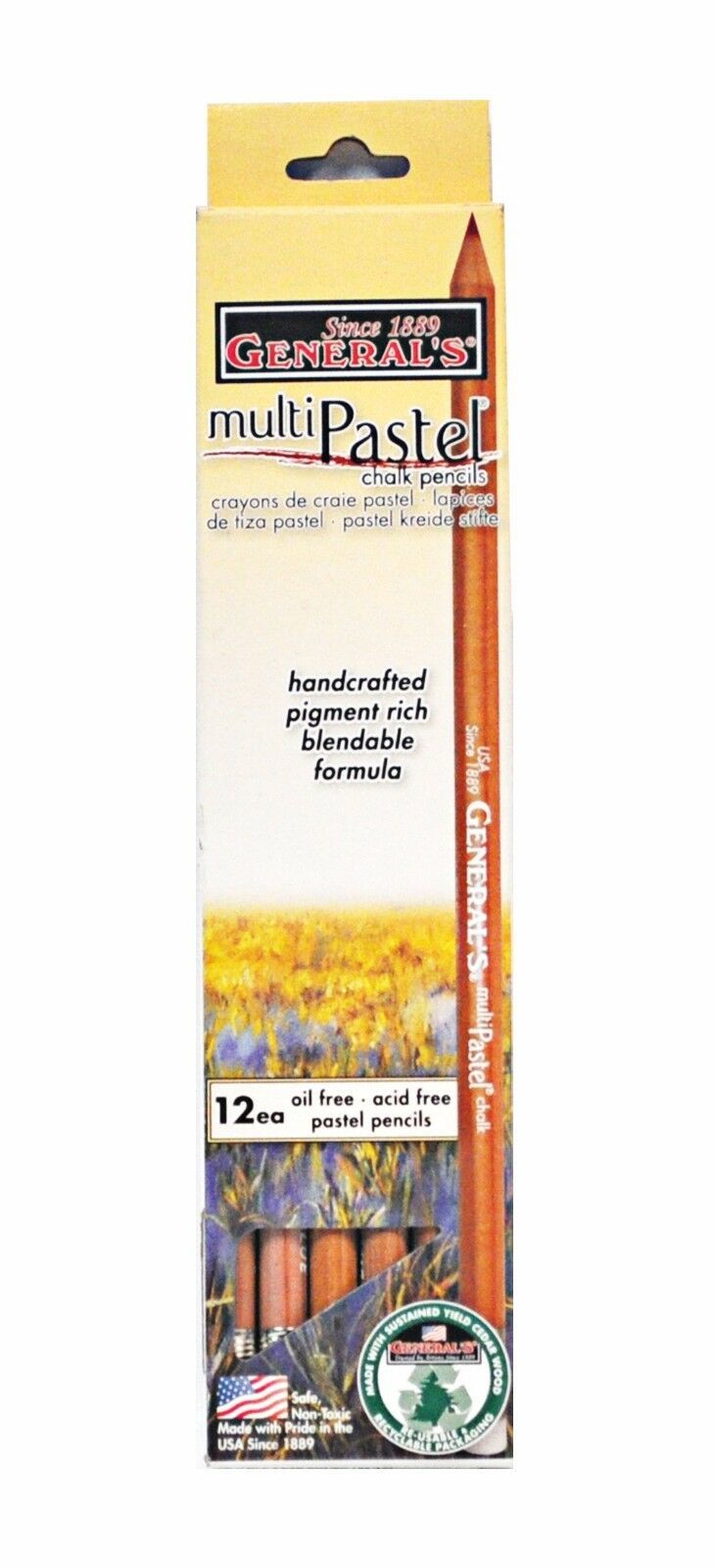 Primary image for Pastel Chalk Pencil Light Grey