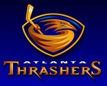 Atlanta Thrashers NHL Hockey Mens Polo XS-6XL, LT-4XLT Winnipeg Jets Fla... - $25.24+