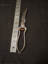 Vintage poultry chicken scissors Made in Italy Marked Italy Stainless - £11.13 GBP