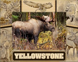 Yellowstone National Park Wildlife Collage Engraved Picture Frame Landscape 3x5 - $25.99