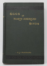 Eggs Of North American Birds HC 1890 Chas Maynard 1st Edition Dark Green - £88.85 GBP