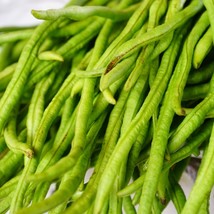 Pusa Nav Bahar Guar Seeds 20/80/400 - High-Quality Legume Crop, Ideal fo... - $5.00