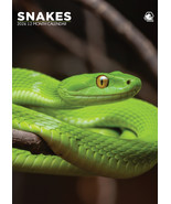 Snakes Calendar 2026 - $13.99