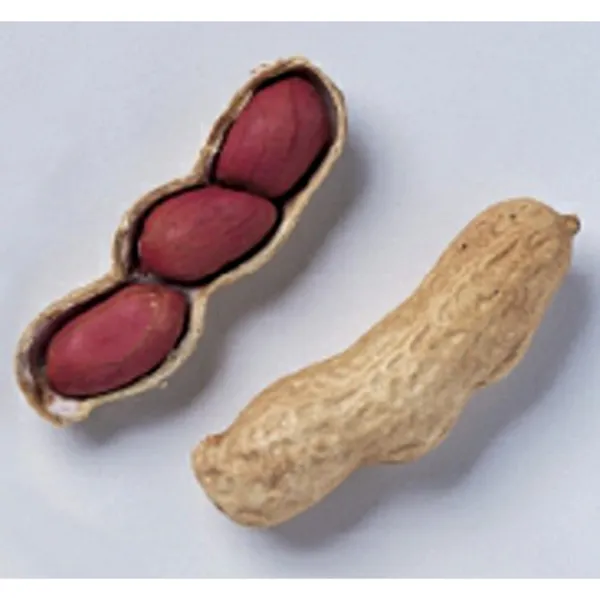 Tennessee Red Valencia Peanuts Seeds (20+ Seeds) Non Gmo Vegetable Fruit Her Usa - £15.61 GBP
