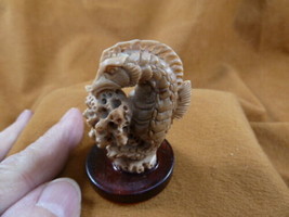 (tb-seah-6) little tan Seahorse Tagua NUT palm figurine Bali carving sea... - $38.56