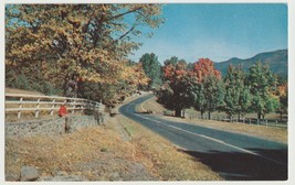 BARNESBORO, PENNSYLVANIA Highway Scene Vintage Postcard Unposted England - £3.87 GBP
