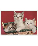 Vintage Postcard Three Happy Kittens in Basket Unused Cat Card Red 1960&#39;s - £5.44 GBP