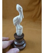 Pel-1) Pelican sitting birds shed ANTLER figurine Bali detailed carving ... - $1,983.90 MXN