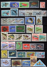 ZAYIX Fish Collection Worldwide Mint/Used Marine Life Coral 111922SM50 - £6.69 GBP