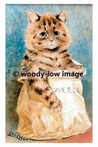 rp02788 - Louis Wain Cat - print 6x4 - £2.20 GBP
