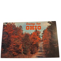 Postcard Greetings From Ohio Red Orange Fall Autumn Leaves Chrome Unposted - £5.47 GBP