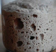 ORIGINAL WHARF SAN FRANCISCO SOURDOUGH STARTER yeast bread flour VERY AC... - $7.73