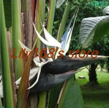 708fe7100a25fc78 thumb200