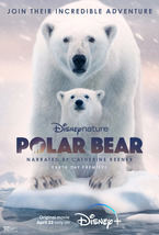 Polar Bear Movie Poster Alastair Fothergill Jeff Wilson Art Film Print 24x36&quot; - £9.49 GBP+