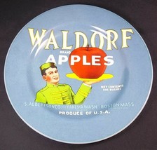 Sakura for Oneida Vintage Labels Salad plate Waldorf Brand Apples 8.25&quot; - £13.97 GBP