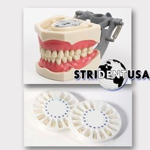 DENTAL TYPODONT OM 860 TEACHING MODEL WITH EXTRA SET OF TEETH (64 TOTAL ... - £47.95 GBP