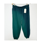 Levi's Men's Seasonal Relaxed Fit Active Fleece Sweatpants Gradient Green Large - $26.73