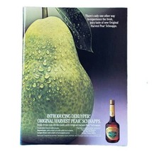 Dekuyper Harvest Pear Schnapps Print Advertisement Vintage 1986 80s 8.25... - £11.06 GBP