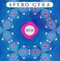 20/20 by Spyro Gyra Cd - £8.58 GBP