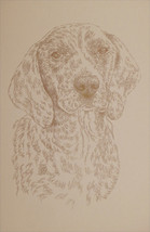 Plott Hound Dog Art Portrait Print #21 Kline adds dog name free. WORD DR... - $49.45