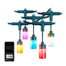 Atomi Smart Wi-Fi Color String Lights - $95.32