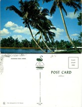 Florida Whispering Palms Trees Blue Skies Puffy Clouds Ocean Postcard - £7.38 GBP