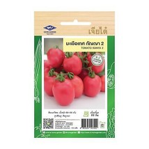 Tomate Kanya 2 Samen Hausgarten asiatisches frisches Gemüse Die besten... - £6.31 GBP
