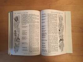 Vintage 1971 Grolier "The Book of Popular Science" complete 10 book set (unused) image 15