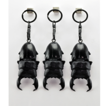 Serrognathus Titanus Yasuokai Beetle Model Key Ring Insect Figurine Bugs - $46.33