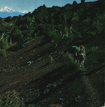 Oregon OR Volcanic Cascades Skyline Trail Sierra Club UNP Chrome Postcard - £3.06 GBP