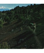 Oregon OR Volcanic Cascades Skyline Trail Sierra Club UNP Chrome Postcard - £3.06 GBP