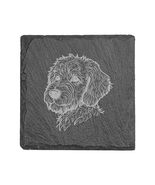Coaster - Slate - Golden Doodle - SET OF 2 - $405.38 MXN