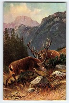 2 Deer Postcard Artist Signed M Muller Germany Rustic Wildlife Mountains Alps - $16.20