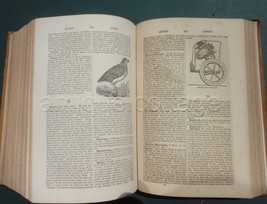 1871 Antique Leather Bible Dictionary Natural History 1017pg Rhoads Lancaster Pa - £177.60 GBP