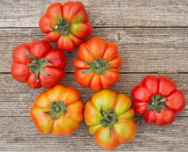 ArfanJaya Tomato Italian Costoluto Genovese 50 Seeds Non-Gmo Organic - £7.27 GBP