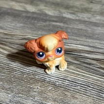 Hasbro Littlest Pet Shop LPS #37 Poodle Dog Brown White Purple 2004 - $8.73