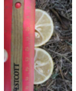 Florida only! 3 gallon Lakeland Limequat Tree 2-4 ft. Tall - $198.31 CAD