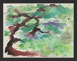 Bonsai Bounty 2009 C Peterson * Watercolor *  Painting ABSTRACT TREE * Ikebana - £140.54 GBP
