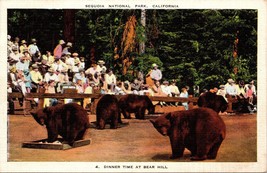 Dinner Time at Bear Hill Sequoia National Park CA Postcard PC127 - £7.04 GBP