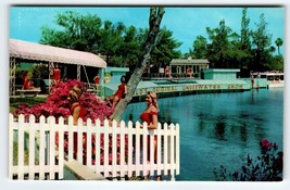 Weeki Wachee Postcard Lady Mermaids Show Girls Swimsuits Pose By Outside... - $15.91