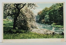 MA Spring in the Berkshire Hills Near Pittsfield Mass 1908 Postcard M18 - £7.04 GBP