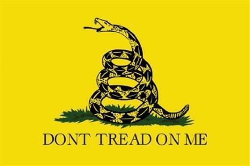 Don&#39;t Threaded On Me Poster Do Not Gadsden Flag Marines-
show original t... - $5.36