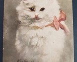 Picture Postcard Beautiful White Kitten Signed Kenyon-07    PC1 - $19.99