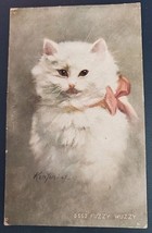 Picture Postcard Beautiful White Kitten Signed Kenyon-07    PC1 - £15.74 GBP