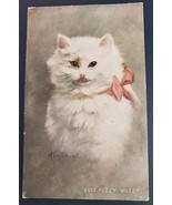 Picture Postcard Beautiful White Kitten Signed Kenyon-07    PC1 - £15.79 GBP