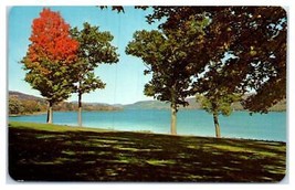 Otsego Lake Cooperstown New York Unused Postcard - £40.73 GBP