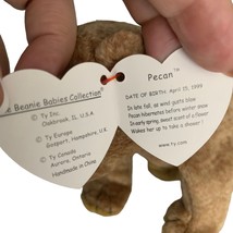 Pecan the Bear Retired TY Beanie Baby 1999 PE Pellets Excellent Cond Brown - $6.80