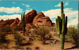Stately Saguaro Giant Cactus Arizona Desert Beauty Rock Formations Postcard UNP - £4.39 GBP